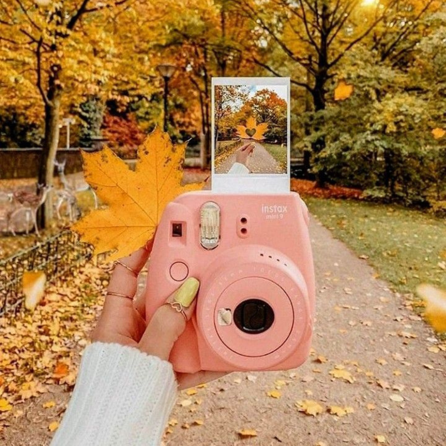 polaroid fond automnal